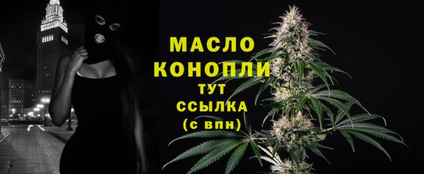 эйфоретик Вяземский