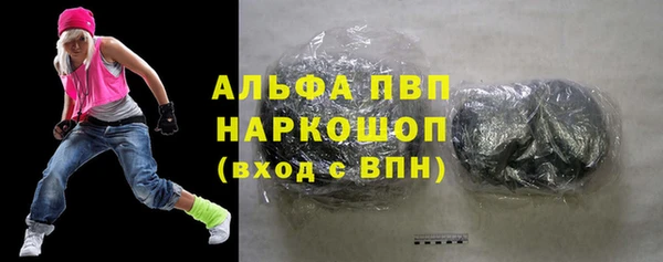эйфоретик Вяземский