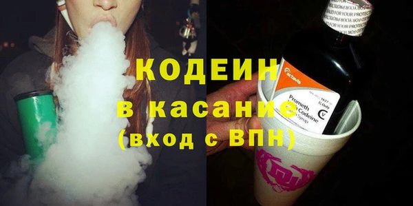 эйфоретик Вяземский