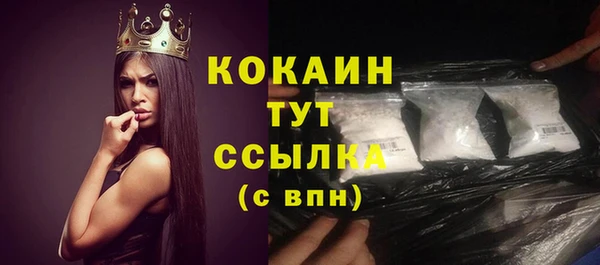 эйфоретик Вяземский