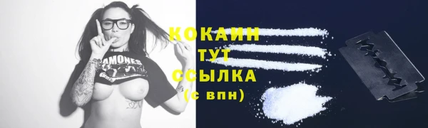 твердый Вязники