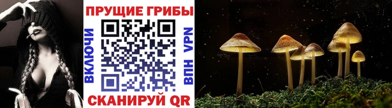 Купить закладки  Томмот  Галлюциногенные грибы прущие грибы 